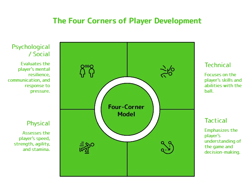 The four-corner model: Technical, Tactical, Physical, and Psychological/Social development shown as four quadrants around the player.
